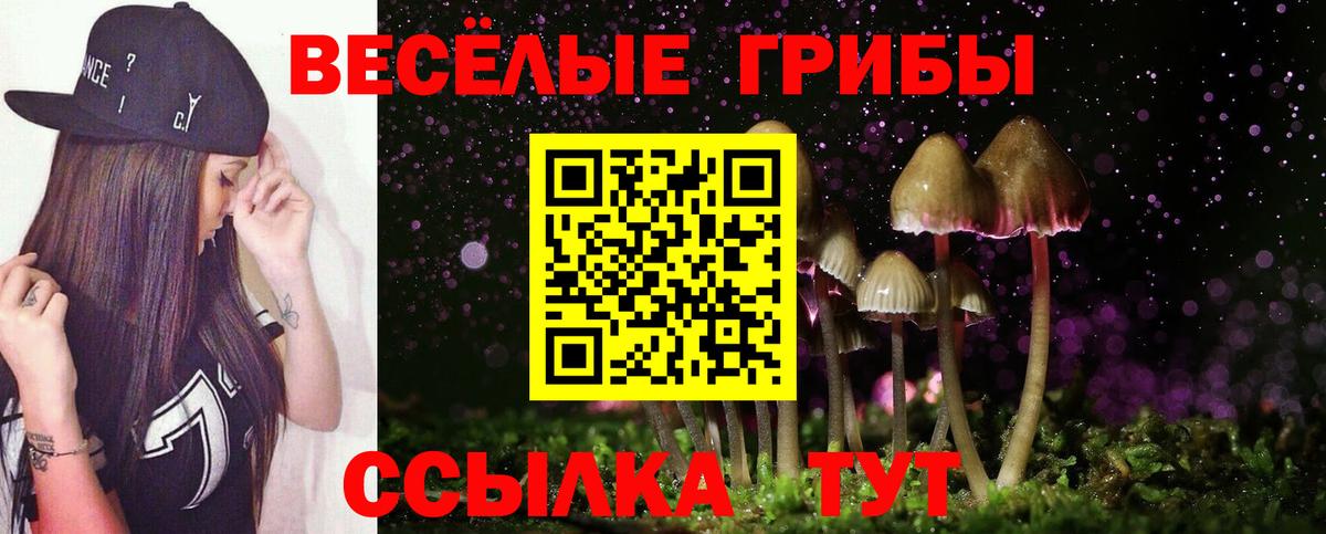 Армавир  Галлюциногенные грибы Psilocybine cubensis  Вход с VPN  Псилоцибиновые грибы MAGIC MUSHROOMS 